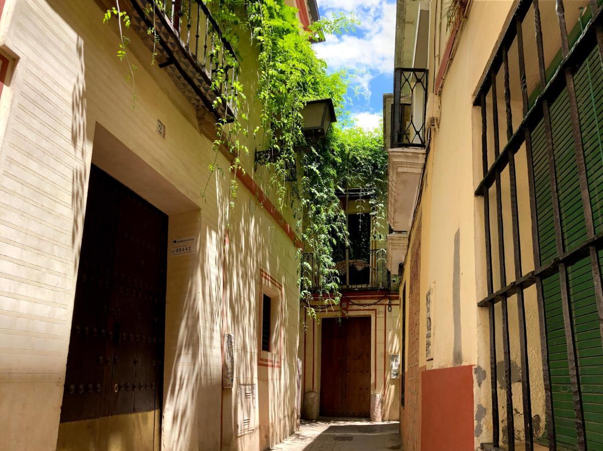 Acogedor Apt 8Pax 4Bdr 2Bth- Cozyhomesevilla2 ภายนอก รูปภาพ